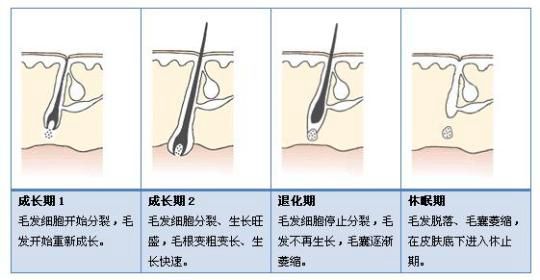 家用脫毛儀能絕毛嗎(圖1)