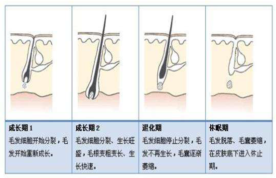 脫毛后又長，你是不是沒有用對方法(圖2)